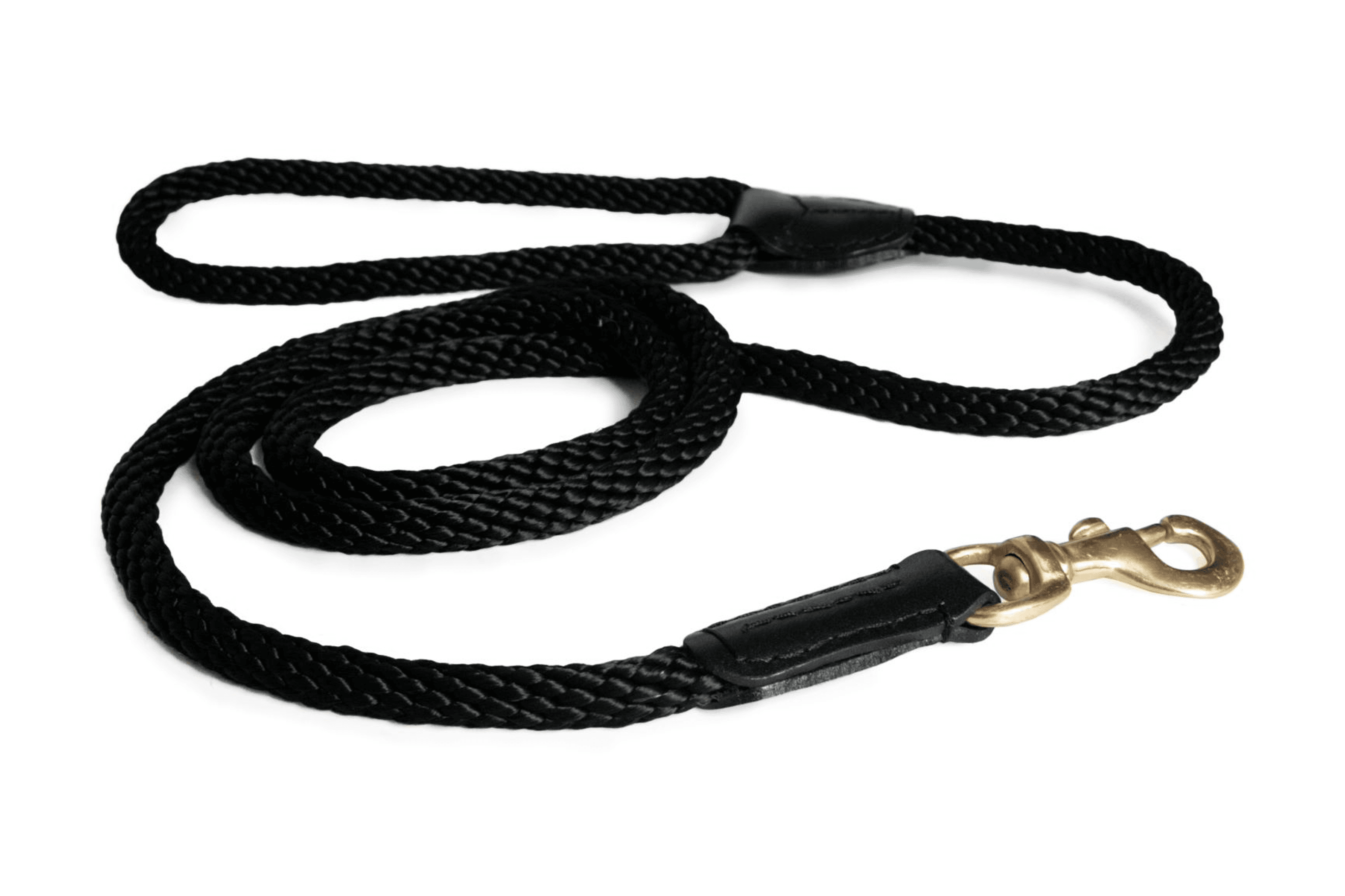Dog Leashes