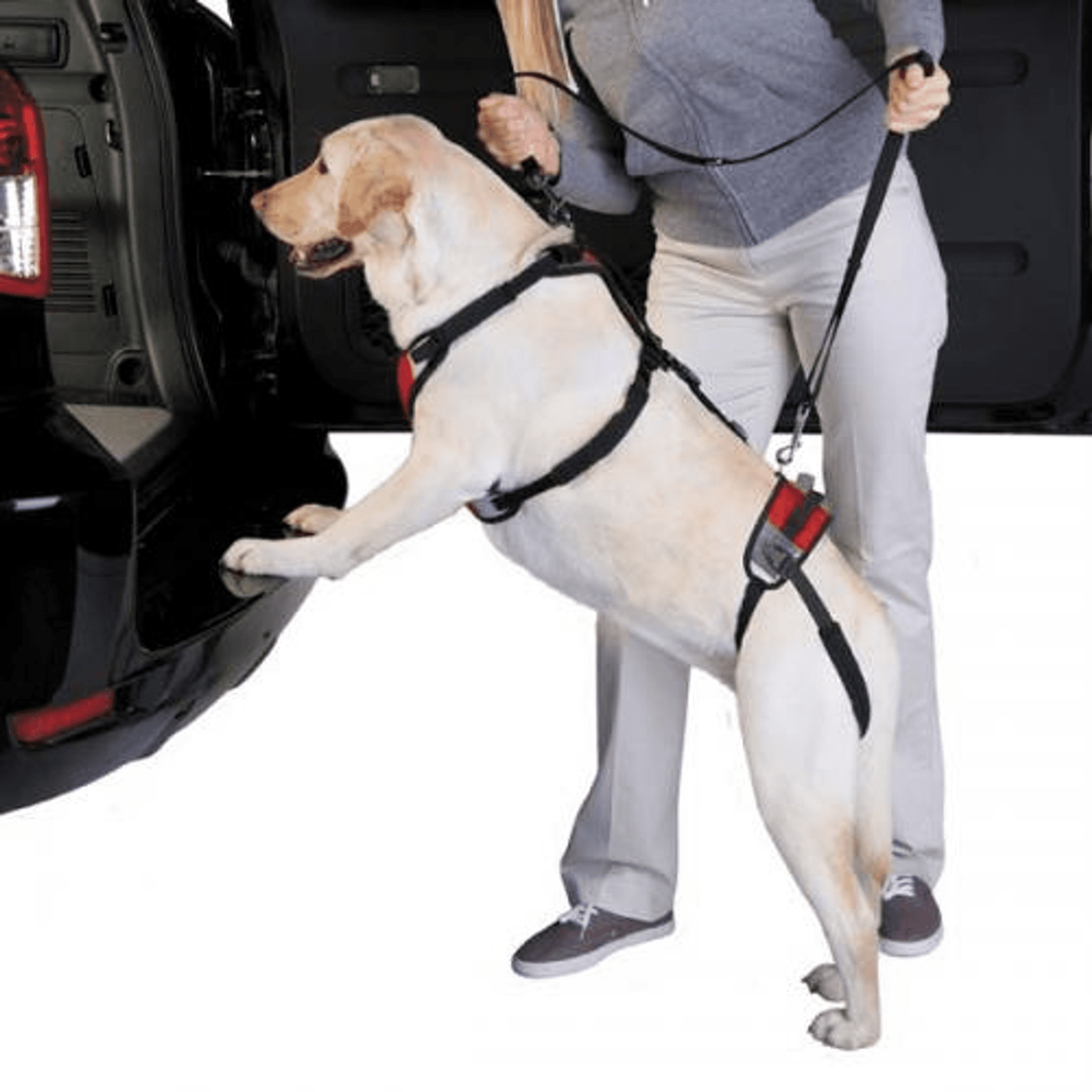 Dog Harnesses