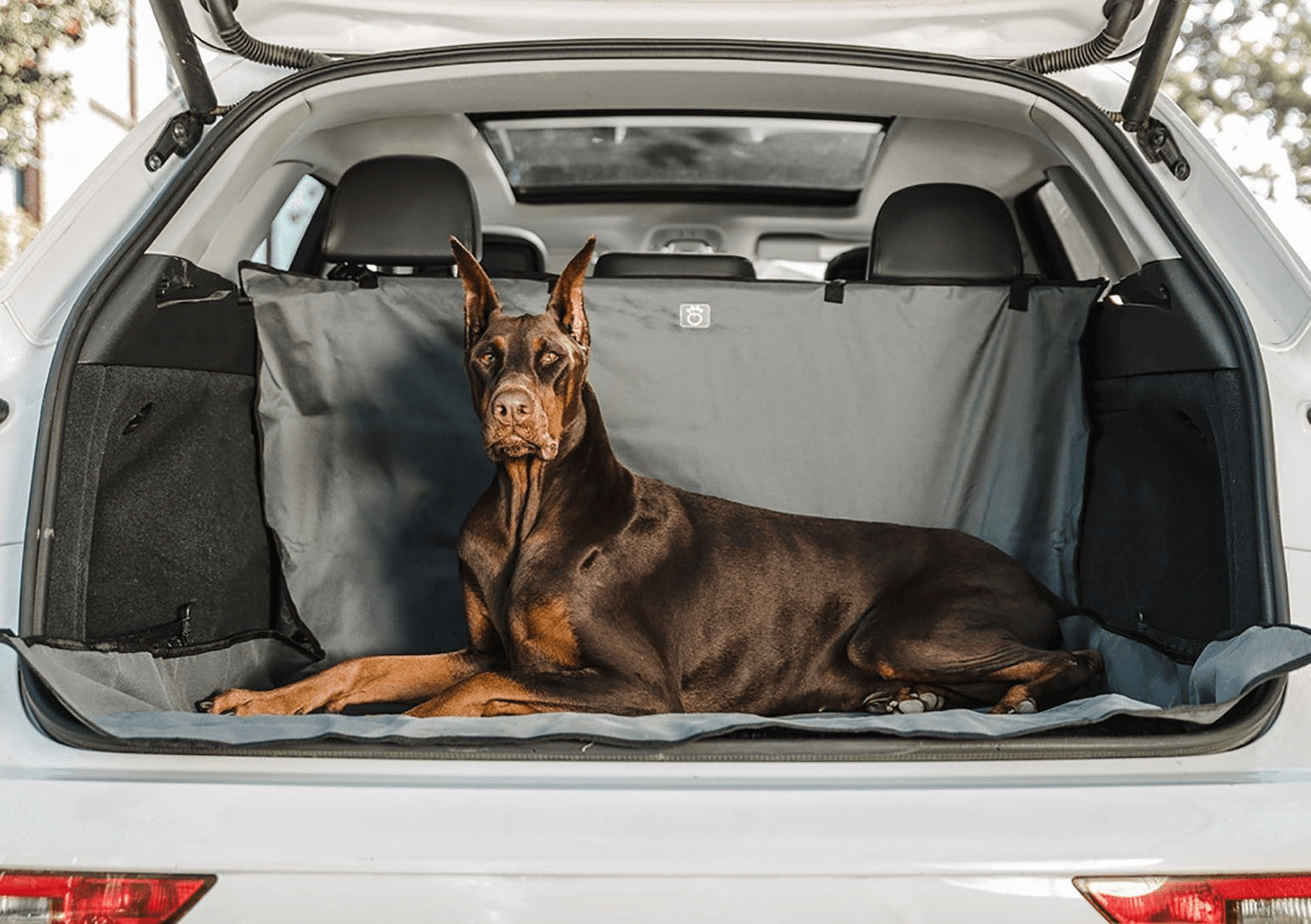 Seat Covers